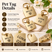 Vente en gros de médailles personnalisables en métal doré pour animaux de compagnie, gravées, style européen et américain, pour cadeaux d'anniversaire et de fêtes, pour l'exportation