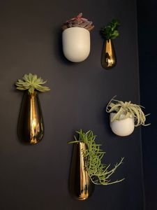 Maceta Colgante de Pared, Hecha a Mano en Hierro y Latón, Soporte Metálico para Plantas, Decoración Interior y Exterior para el Hogar Moderno - Product Image 2