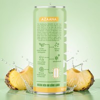 Natuurlijke Meloen Ananas Kombucha Stijl Drank OEM Aangepaste Branding Drank Groothandel Leverancier Export Leverancier Direct