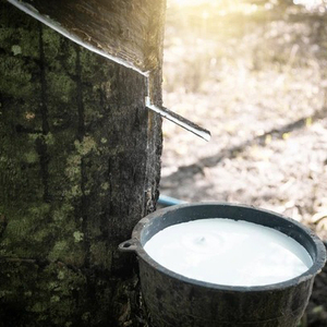 Látex de Caucho Natural Concentrado al 60% Suministro de Fábrica |   Látex Líquido Blanco en Barril para Uso Adhesivo e Industrial - Product Image 1