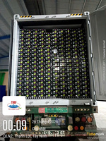 Verse Premium Kwaliteit Donkergroene Vietnamese Zaadloze Limes (4,5kg) voor Koken en Dranken