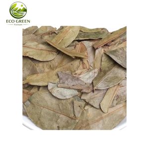 Hojas de Guanábana Secas Premium, Té Herbal Natural, Hojas de Graviola para Desintoxicación y Apoyo Inmunológico, Proveedor Mayorista - Product Image 6