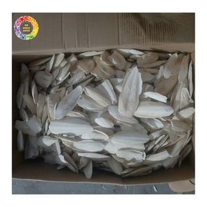 Polvo de Hueso de Sepia de Grado Marino para Alimento de Peces, Alimento para Camarones, Alimento para Mascotas, Nutrición Animal, Proveedor Mayorista - Product Image 1