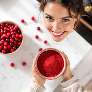 Polvo de Arándanos Premium – Hecho de Forma Orgánica, Calidad Fresca |   Fabricante y Exportador Indio - Product Image 2