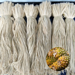 Fibra de Hoja de Piña de Primera Calidad, Precio de Fábrica, Suministro del Fabricante de Vietnam, Empacada en Bolsas de 2 kg - Product Image 1
