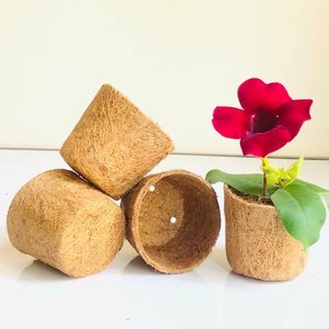 Pots de semis en fibre de coco, pots de culture en coco, ensemble de pots à prix compétitif, outils de jardinage - Product Image 5