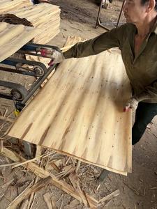 Chapa de Madera de Acacia 100% Natural, Ecológica y Duradera, Corte Rotatorio, 1270 mm de Longitud, 10-12% de Humedad, para Diseño Industrial de Madera Contrachapada - Product Image 6