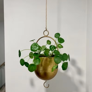Pot suspendu élégant en or avec poignée ronde, pot décoratif pour plantes d'intérieur et d'extérieur, jardin, balcon, au meilleur prix - Product Image 4