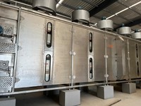 Automatische Moringa Bladeren Dehydratatie Plant RVS Hetelucht Droogmachine voor Kruidenbladverwerking Hoge Capaciteit Drogen