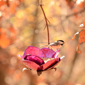 Alimentador de pájaros de metal único con plataforma colgante de cacahuete, a su jardín perfecto para atraer pájaros salvajes, alimentador duradero para exteriores - Product Image 3