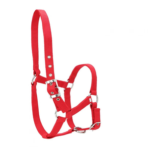 Nouveaux haltères de sport pour chevaux de haute qualité 2027, services OEM, emballage transparent léger en PP, confortables pour l'équitation - Product Image 1