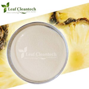 Fournisseur en vrac de poudre d'enzymes de bromélaïne de bonne qualité de Bangalore, Karnataka, Inde - Product Image 3