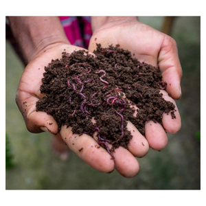 High Quality Earthworm Vermicompost Soil Conditioner for Vegetable Cultivation Fruit Farming and Horticultural Applications - Product Image 4