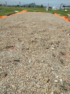 Harina de pescado de alta proteína, bolsa de 50kg, contenedor de 18 toneladas/20 pies, alimento en polvo para pollo, pescado, ganado, cerdo, alto contenido de proteína para animales - Product Image 2