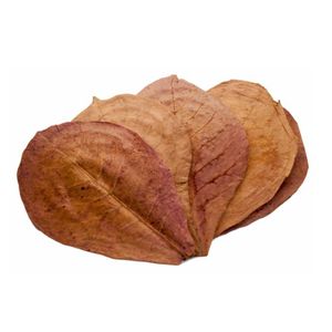 Hojas de catappa India para pescado Producto Premium para mascotas para vida acuática - Product Image 3
