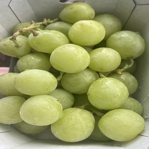 Uvas Verdes Frescas Sin Semillas, Dulces, de Primera Calidad, Calidad de Exportación, Almacenamiento en Frío, Tamaño 18-28 mm - Product Image 1