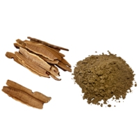 Poudre de champignon Ganoderma Lucidum