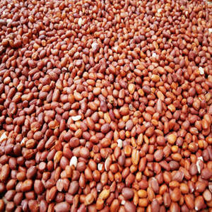Cacahuetes Tostados Indios Premium con un Aroma Distintivo a Nuez para Productores de Snacks y Distribuidores Internacionales de Alimentos - Product Image 1