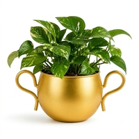 Pot Tanaman Logam Berlapis Emas Modern dengan Pegangan – Pot Bunga Indoor Bergaya Piala Bundar untuk Dekorasi Meja