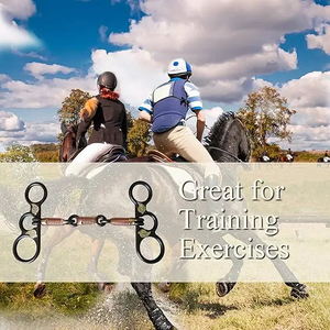 Bocado de entrenamiento para caballo de estilo western, de hierro dulce con alambre de cobre envuelto, con hojas plateadas y diseño de limpieza de mejillas - Product Image 2