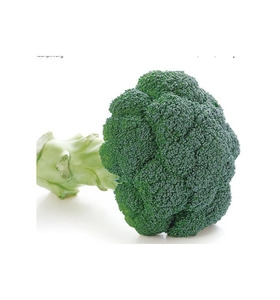Brocoli frais, brocoli cultivé au Vietnam, exporté vers Taïwan, Malaisie, Thaïlande... - Product Image 3