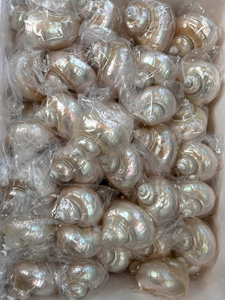 แหวนรัดผ้าเช็ดปากโลหะดีไซน์แปลกใหม่ คุณภาพสูง เป็นมิตรกับสิ่งแวดล้อม พร้อมโลโก้สั่งทำ ขนาดกว้าง 5 ซม. สำหรับงานแต่งงานและโรงแรมหรู - Product Image 6