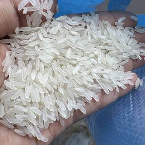 Riz Jasmin Premium / Riz Parfumé à Grains Courts / Riz Blanc Certifié Qualité Sortex Nettoyé Sans OGM Riz Arborio Séché Doux Thaïlandais - Product Image 3
