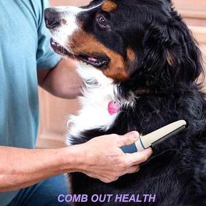 Peine para Mascotas con Mango Antideslizante y Control de Desprendimiento de Pelo, Punta Redondeada para Piel Sensible - Product Image 5