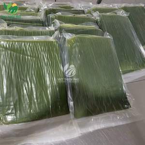 VIET THIEN PHU |   Feuilles de bananier congelées entières, coupées et nettoyées – Fournisseur d'exportation du Vietnam - Product Image 2