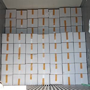 Cubos de Yuca Congelados de Alta Calidad, Pelados y Cortados de Raíces Maduras, Listos para Cocinar, para Exportación, Distribución y Empaques Minoristas - Product Image 3