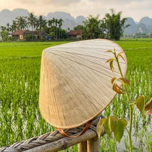 Vietnamese Sombrero <b>Straw</b> <b>Hat</b> Natural Palm Leaf Hand Embroidery Eco-Friendly Sustainable Outdoor Unisex Adult Headwear - Product Image 1