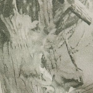 เสื้อสเวตเชิ้ตคอกลมแขนยาวพิมพ์ลายต้นไม้สไตล์วินเทจสำหรับผู้หญิง ทรงโอเวอร์ไซส์ ไหล่ตก สวมใส่สบาย - Product Image 6