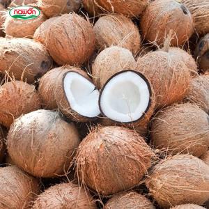 Boisson au lait de coco saveur chocolat NAWON avec nata de coco en conserve 330ml, étiquette privée personnalisée, boissons non alcoolisées, OEM, échantillon gratuit - Product Image 6