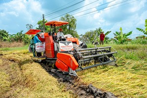 Cosechadora de Arroz de 108 HP Kubota DC-108X con Orugas de Goma, Máquina Diésel para Cosechar Granos, Ideal para Campos de Arroz Grandes y Uso en Zonas Húmedas - Product Image 5