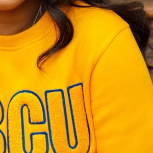 Sudadera Personalizada SGRHO de Chenilla, Sudadera con Cuello Redondo para Mujer de la Hermandad Griega Sigma Gamma Rho, Sudadera Informal con Letras de Chenilla - Product Image 5