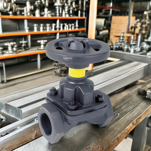 Vanne à diaphragme directe d'usine 15 mm en fonte, résistance à la pression 6 kg/cm², raccord fileté BSP pour usage industriel - Product Image 4