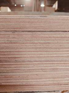 Contreplaqué Kego WBP 28x1220x2440mm en eucalyptus lourd de qualité IICL T6, haute capacité de charge - Product Image 5