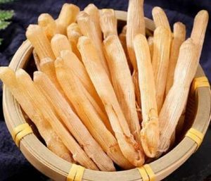 VERMES DE MANÍ SECOS CAÍDOS EN LA NATURALEZA A GRANEL PARA COMERCIO GLOBAL - Product Image 6