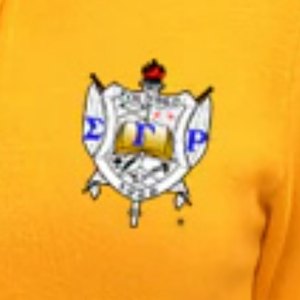 Sigma Gamma Rho <b>Knit</b> Skirt <b>Set</b> Women Yellow Two Piece Outfit Button Top Mini Skirt Greek Sorority Casual Style - Product Image 3