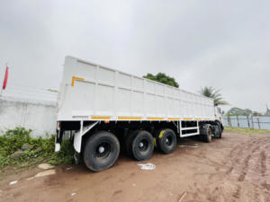 Remolques de Carga y Utilitarios Multiusos Duraderos en Oferta con Pared Lateral para Logística, Almacenamiento y Transporte - Product Image 3