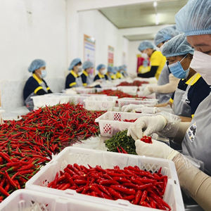 CHILI ROUGE CONGELÉ DE HAUTE QUALITÉ ET AU MEILLEUR PRIX DES FOURNISSEURS VIETNAMIENS - Product Image 3