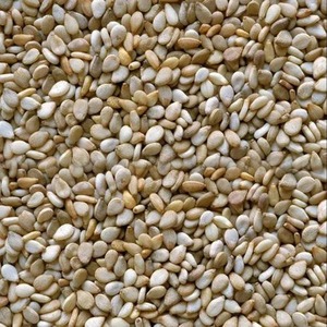 Graines de sésame 100% pures, torréfiées, saveur rôtie et emballées sous vide, pour importateurs en gros et acheteurs mondiaux, fraîches - Product Image 5