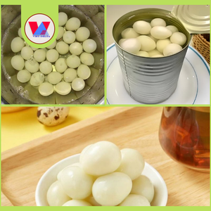 MÁS VENDIDO Huevos de Codorniz Enlatados Totalmente Naturales de 15 oz, Huevos de Codorniz Cocidos y Pelados, Preparación Rápida para Sopa Asiática, Baozi, Carne Estofada - Product Image 2