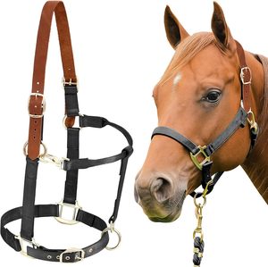 Cabestros de Cuero de Estilo Moderno al por Mayor, de la Mejor Calidad, Duraderos, con Logotipo Personalizado, Color Único, Recién Llegados - Product Image 1