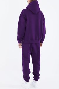 Ensemble de sweat-shirts à capuche pour homme, couleur unie, polaire, coupe classique, vêtements décontractés, poche, coton tricoté, séchage rapide, respirant - Product Image 2