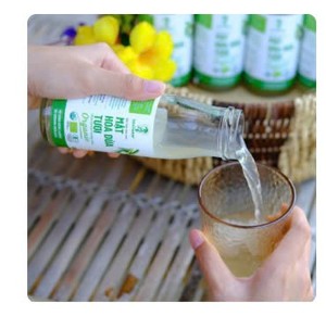 Jugo fresco de flor de coco en Vietnam/Proveedor de bebidas naturales saludables/Lily - Product Image 6