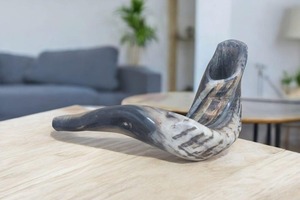 Cuerno de Shofar Natural, Económico, Hecho a Mano, para la Oración Judía, Rituales y Prácticas Espirituales - Product Image 5