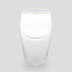 TREVI TST-DX5R00SS_D1 Toilette intelligente à chasse automatique avec télécommande, style de vie coréen, salle de bain familiale, hygiénique, écologique - Product Image 2