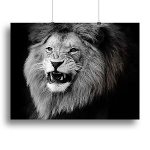 Black and White Wild Lion Portrait Canvas Print or <b>Poster</b> of Animal Paintings - Product Image 1
