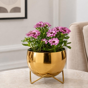 Maceta Decorativa de Metal Dorado para Plantas de Interior y Exterior, Hogar, Jardín, Balcón, Patio - Product Image 5